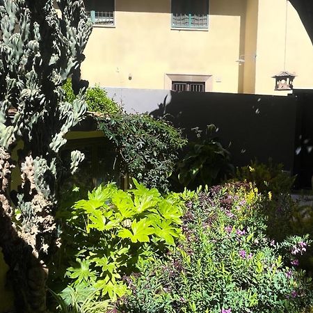 Loquat House Nel Giardino Segreto In Zona Vaticano Rzym Zewnętrze zdjęcie