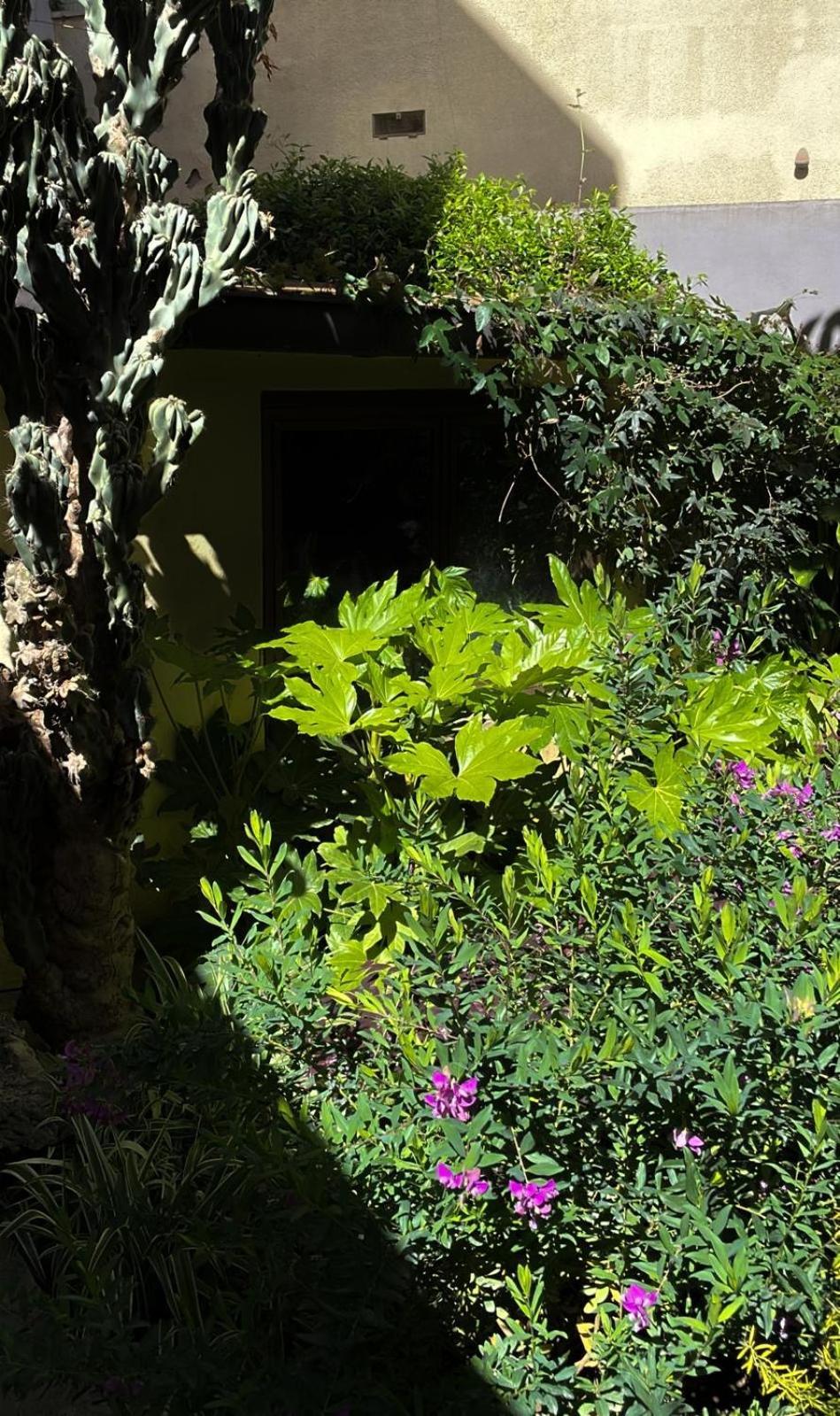 Loquat House Nel Giardino Segreto In Zona Vaticano Rzym Zewnętrze zdjęcie