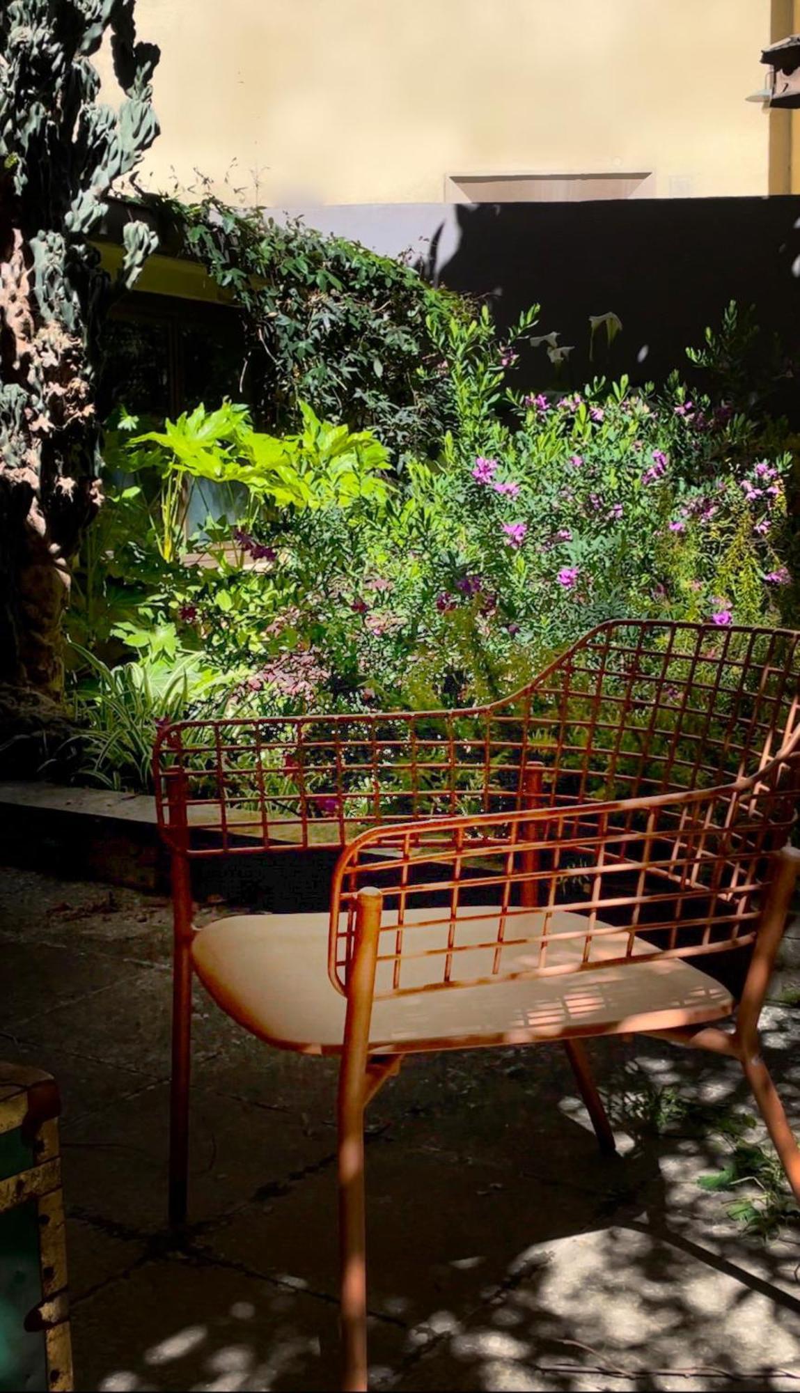 Loquat House Nel Giardino Segreto In Zona Vaticano Rzym Zewnętrze zdjęcie